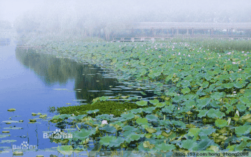 过芜湖县