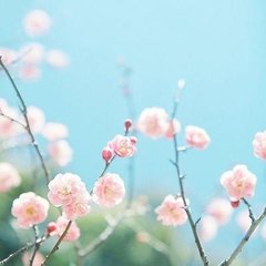 赋得巢燕送客