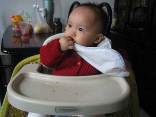 后廿九日复上宰相书