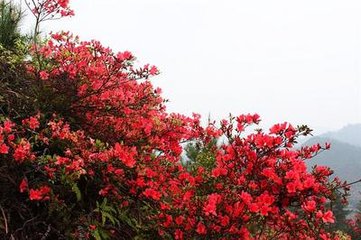 生朝有感
