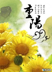 重阳感怀