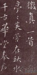 章质夫寄惠崔徽真