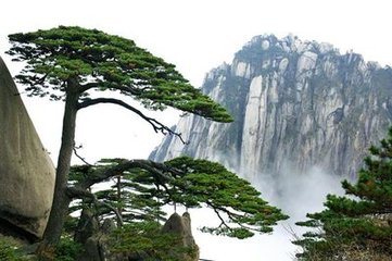 念奴娇（晋臣十月望生日，自赋词，属余和韵）