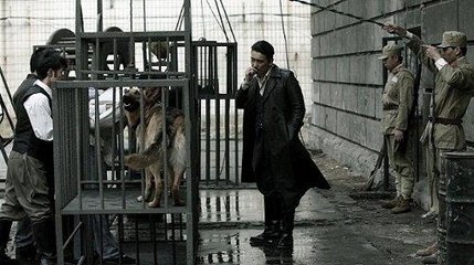 於刘功曹家见杨直讲女奴弹琵琶戏作呈圣俞
