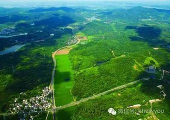齿坐呈山南诸隐