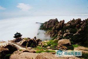 题情深树寄象公
