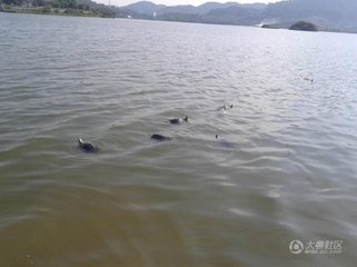 记九月二十六夜梦