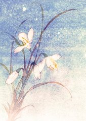 蝶恋花（商调柳）