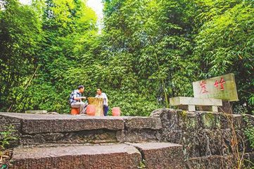 盛山十二诗。茶岭