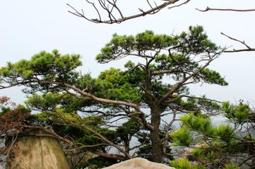 八月十七复登望海楼自和前篇是日榜出余与试