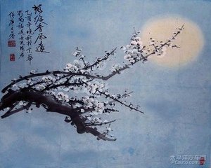 赏山园牡丹有感
