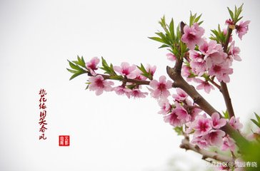 忆王孙（集句）
