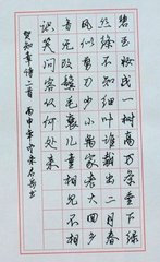 挈累来当涂闻已入境感怀有作二首