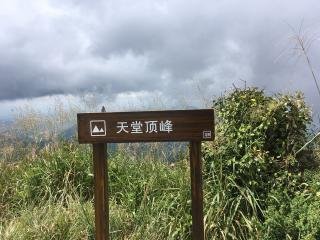 碧涧驿晓思