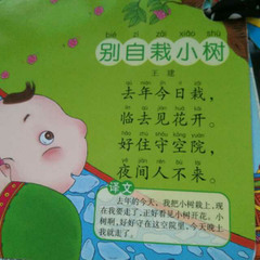 别自栽小树