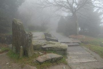 游庐山吊大林