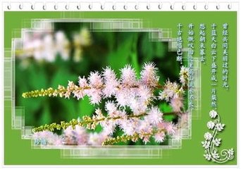 蝶恋花（咏枕儿）