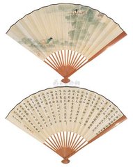 采菱图