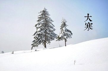 元次山居武昌之樊山，新春大雪，以诗问之