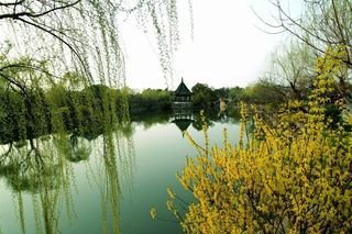 八十吟十绝