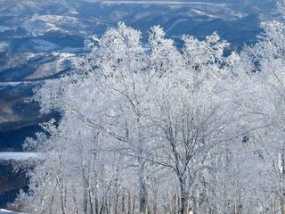 点绛唇（和张文伯除夜雪）