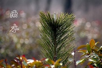 次韵陈帅干喜雨二首