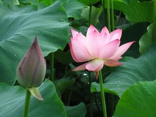 汉殿