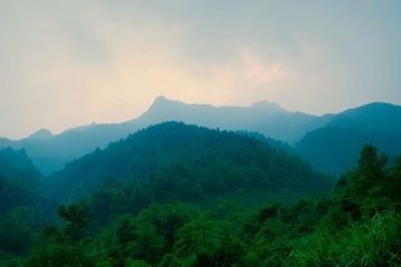 过新丰道中