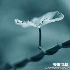 醉厌厌（南歌子）