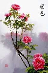 水龙吟送张大经御史，就用公九日韵，兼简