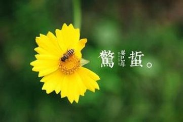 菩萨蛮·春愁一段来无影