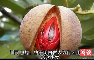 鹧鸪天（偶有鳞翼之便，书以寄文卿）