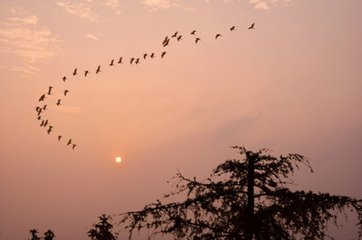 沁园春·秋岂悲人