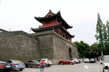 和张荆州九龄晨出郡舍林下