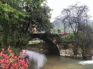 题李次仲庵中