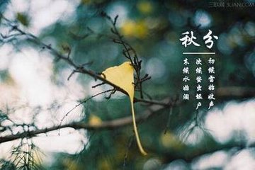 山中喜静和子见访