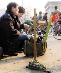 赠照老