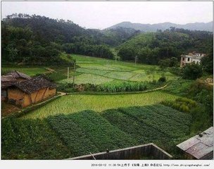 清平乐·水乡清楚