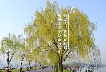 汉州月夕游房太尉西湖