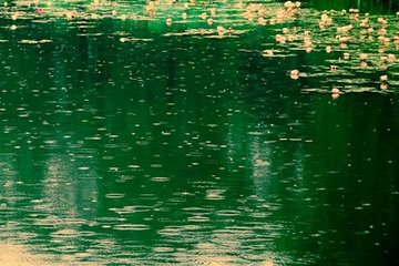 南乡子·细雨泣秋风