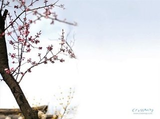 浣溪沙（和蒋丞端午竞渡）