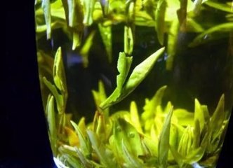 定风波（五·刁学士宅藏春坞）