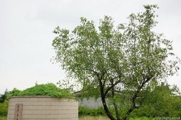 送韩司直路出延陵（一作刘长卿诗）