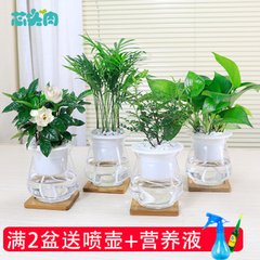 穆王宴王母于九光流霞馆