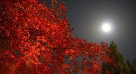 雨中次韵两绝