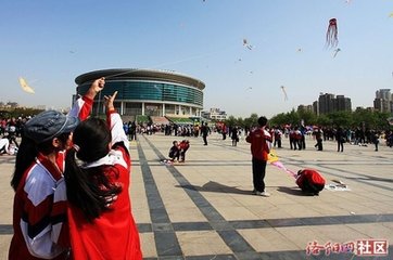 洛阳春