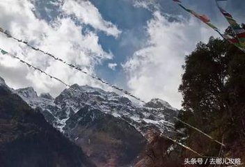 去冬过新喻得前四句因见全真行足以成篇