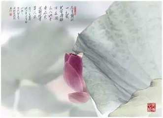 鹧鸪天·一曲青山映小池