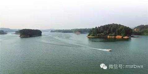 定西番·鸡禄山前游骑