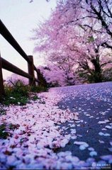 西江月·宿云收尽